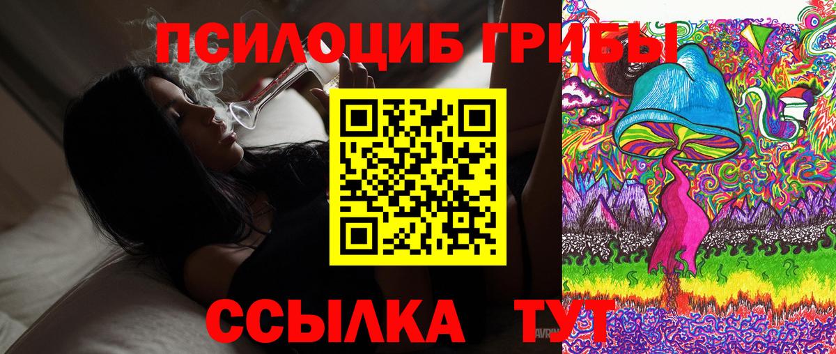 Галлюциногенные грибы Psilocybe Грязи